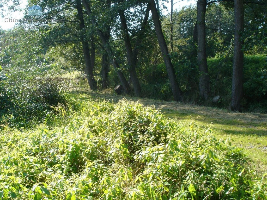 Działka Wieliczka, wielicki, 883,00 m²