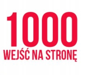 1000(tysiąc) unikalnych wejść na strony typu FB+YT