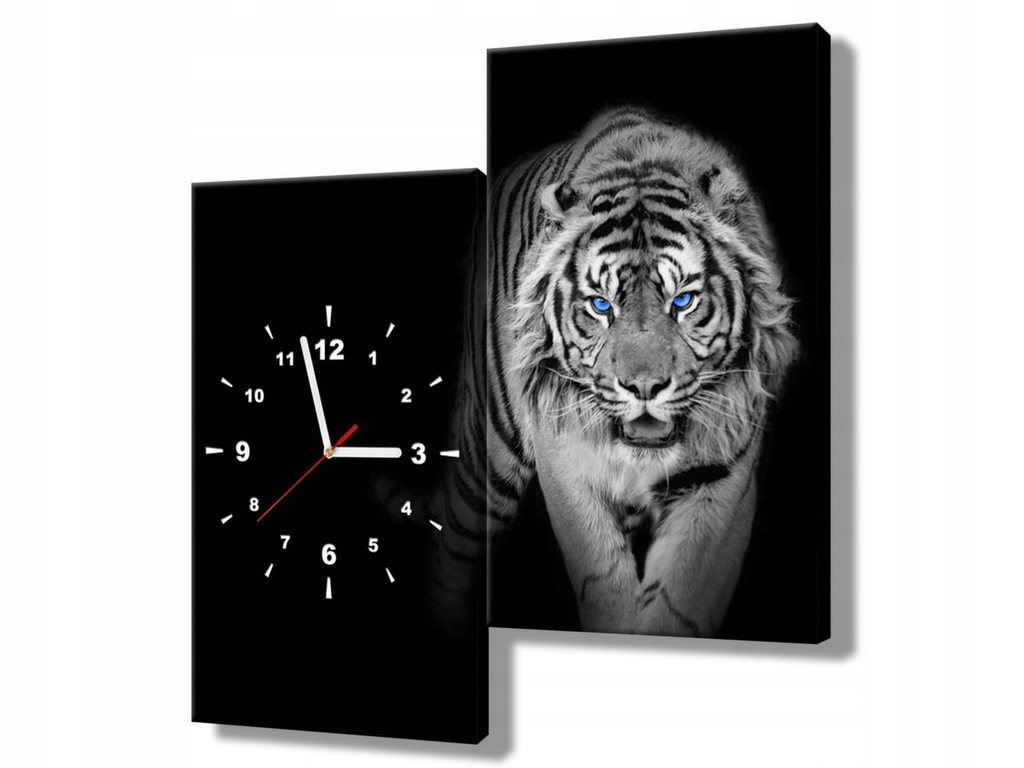 Obraz z zegarem Tygrys 60x60 Obrazy dzielone