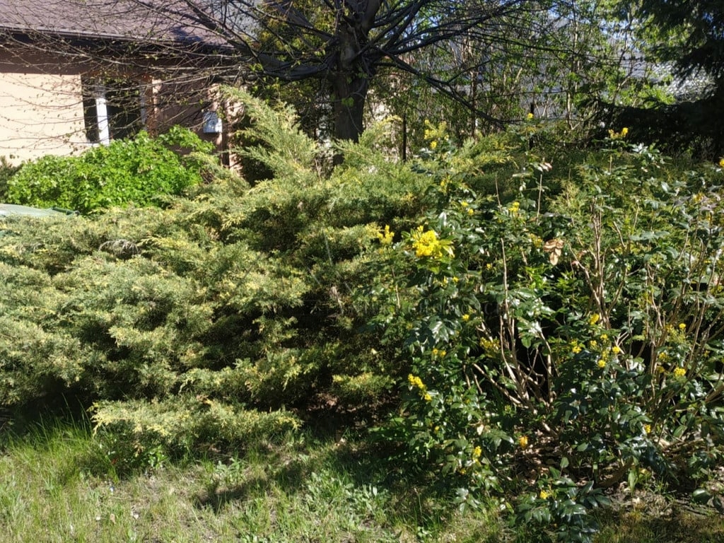 Dom, Piaseczno, Piaseczno (gm.), 60 m²