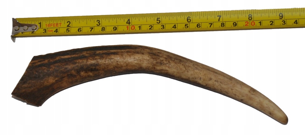 Róg jelenia knifemaking L