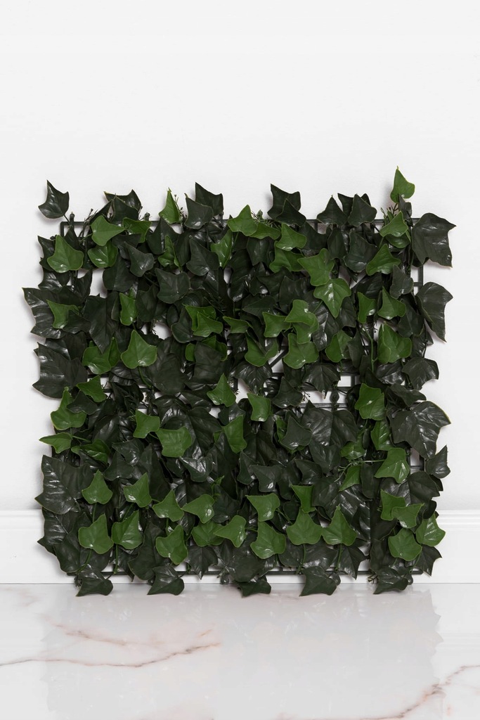 Zielony panel 50 cm bluszcz ścianka 13194612733 oficjalne archiwum