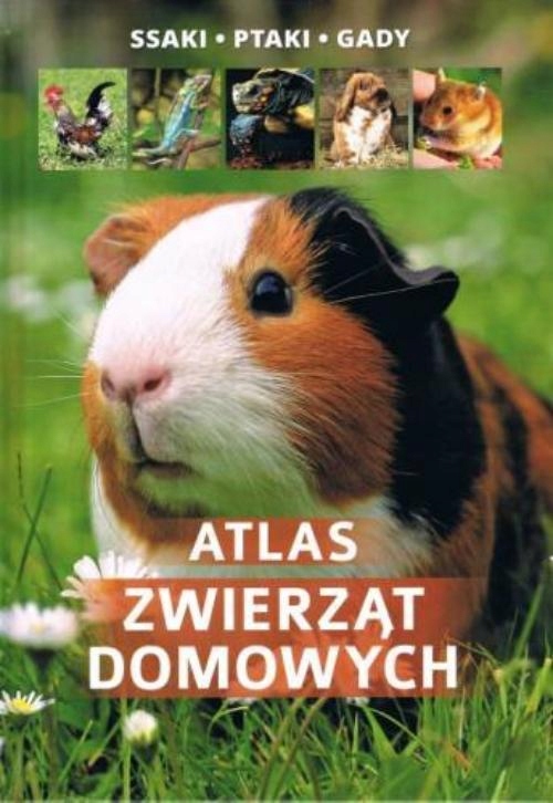 ATLAS ZWIERZĄT DOMOWYCH ssaki ptaki gady
