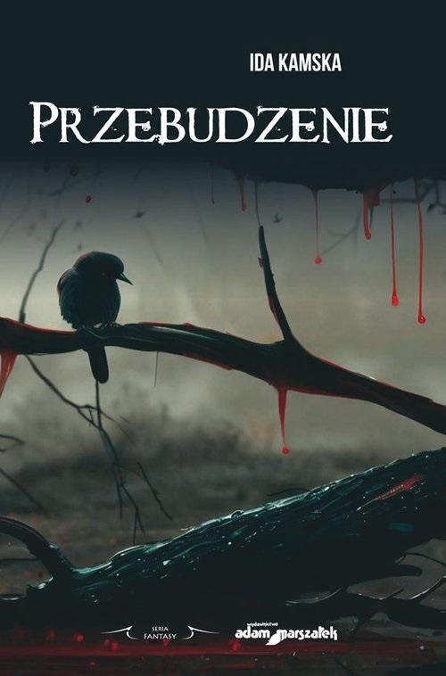 PRZEBUDZENIE, IDA KAMSKA