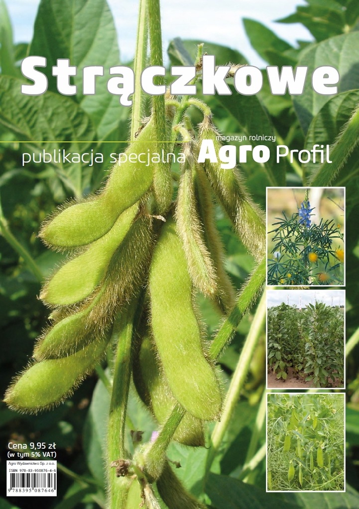 Купить Straczkowe - специальное издание + БЕСПЛАТНО: отзывы, фото, характеристики в интерне-магазине Aredi.ru