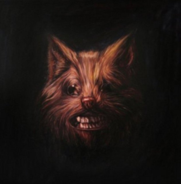 The Seer. CD Swans