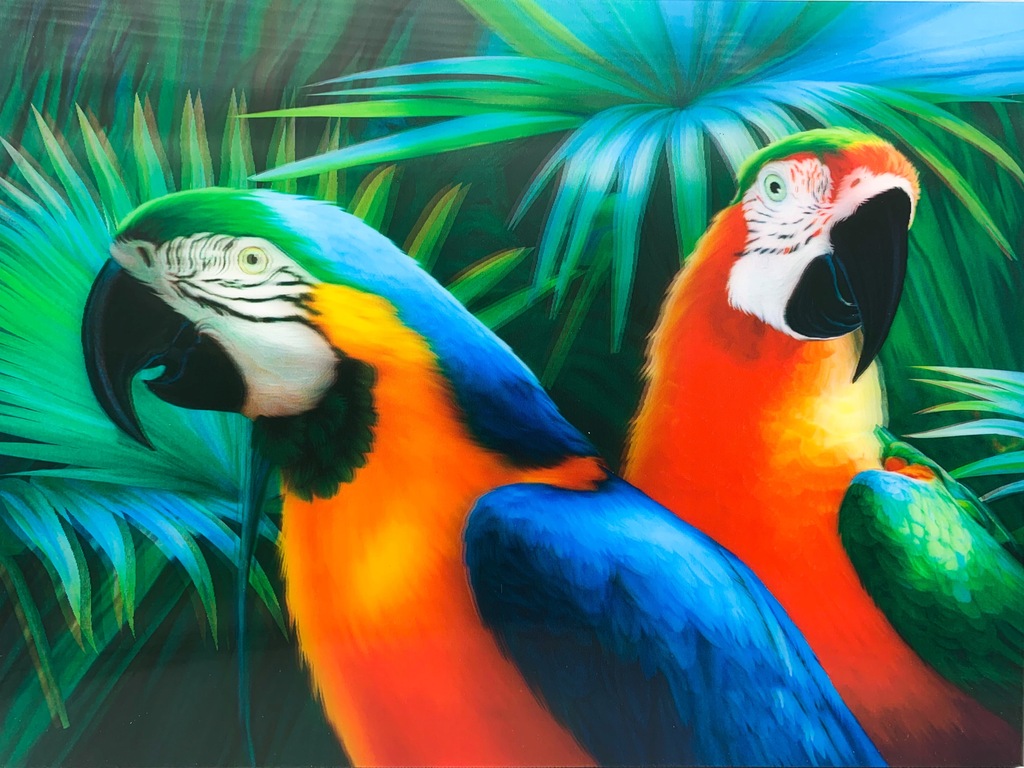 Obraz 3D na ścianę obrazek kolorowe papugi 40x30cm
