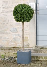 BUKSZPAN 100-120CM NA PNIU