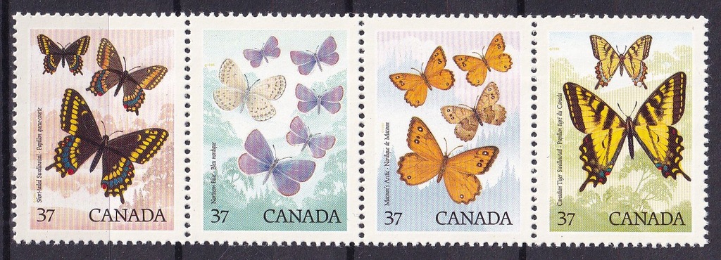 1988 Kanada motyle **