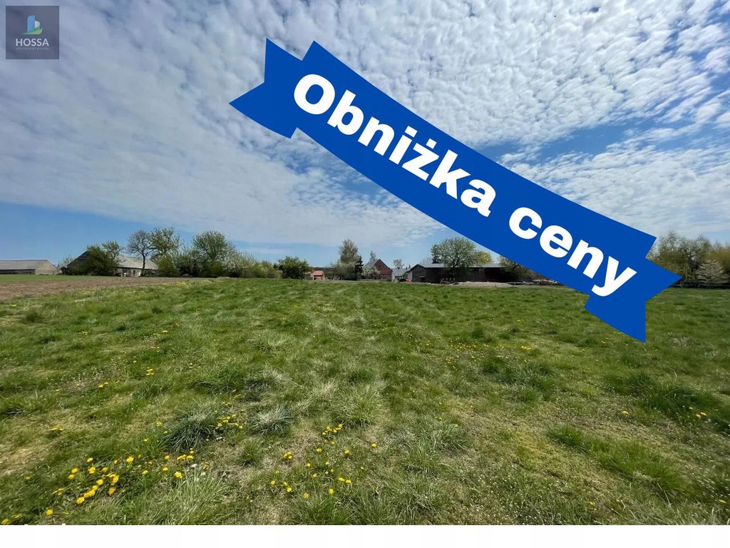 Działka, Filice, Działdowo (gm.), 2953 m² 12128362668 oficjalne