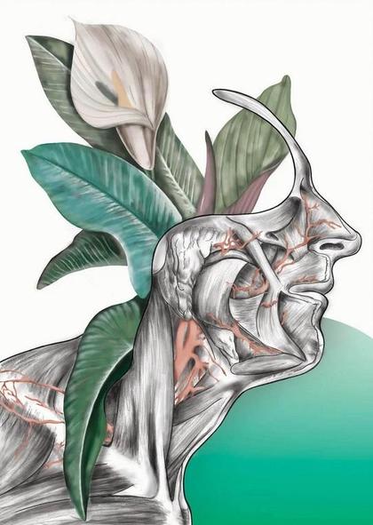 Plakat Floral head /Biomedica