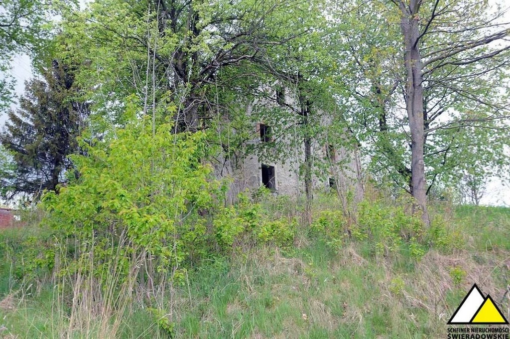 Dom, Złoty Potok, Leśna (gm.), 300 m²