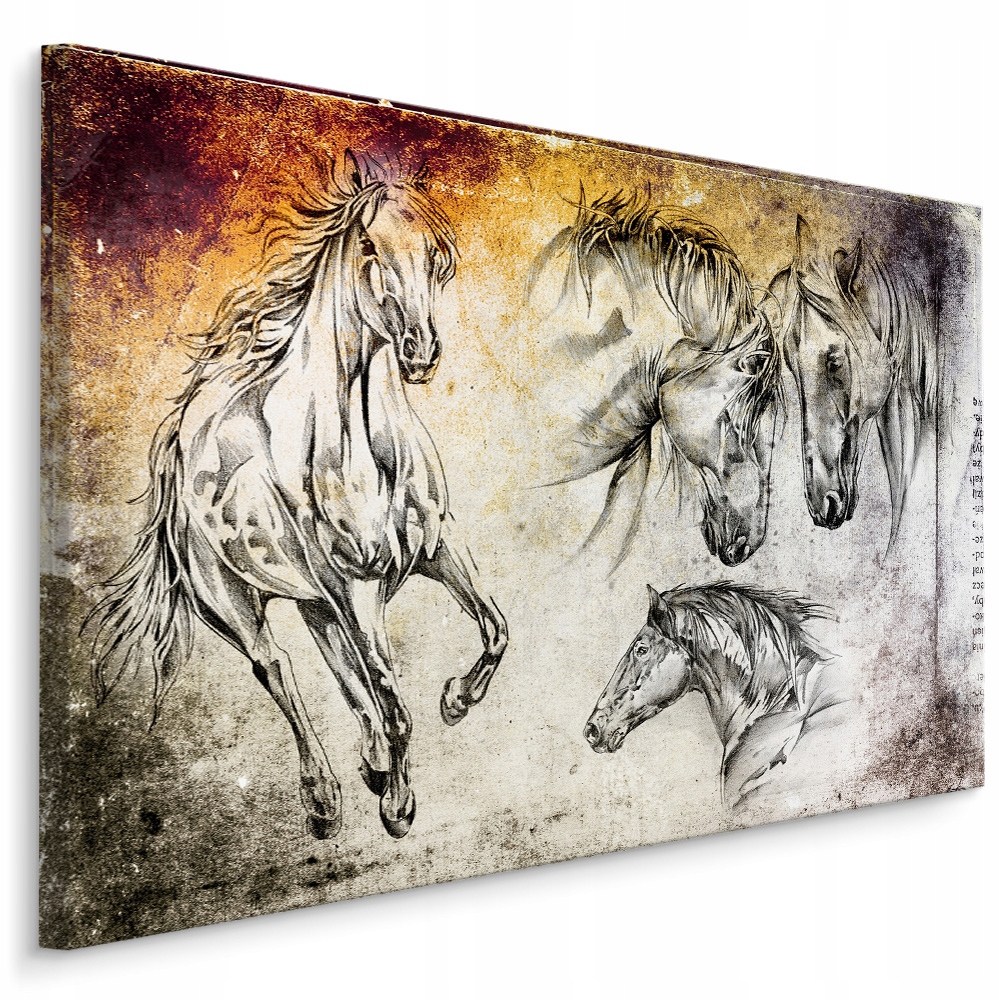 Obraz Konie Jak Naszkicowane Canvas 30 x 20 cm LB-