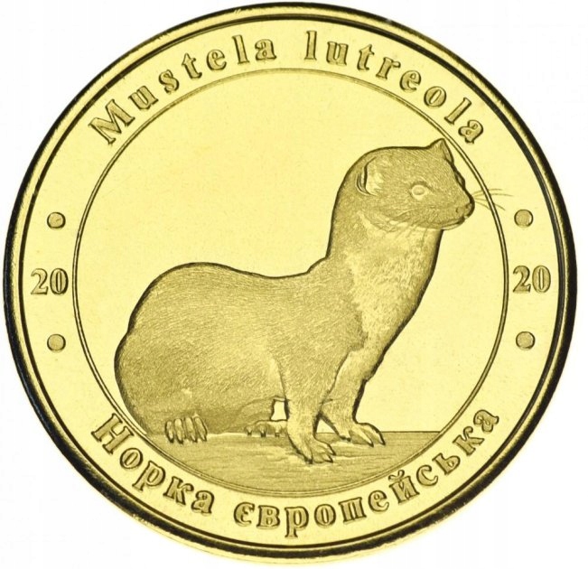 Ukraina - 1 złotnik Norka europejska (2020)