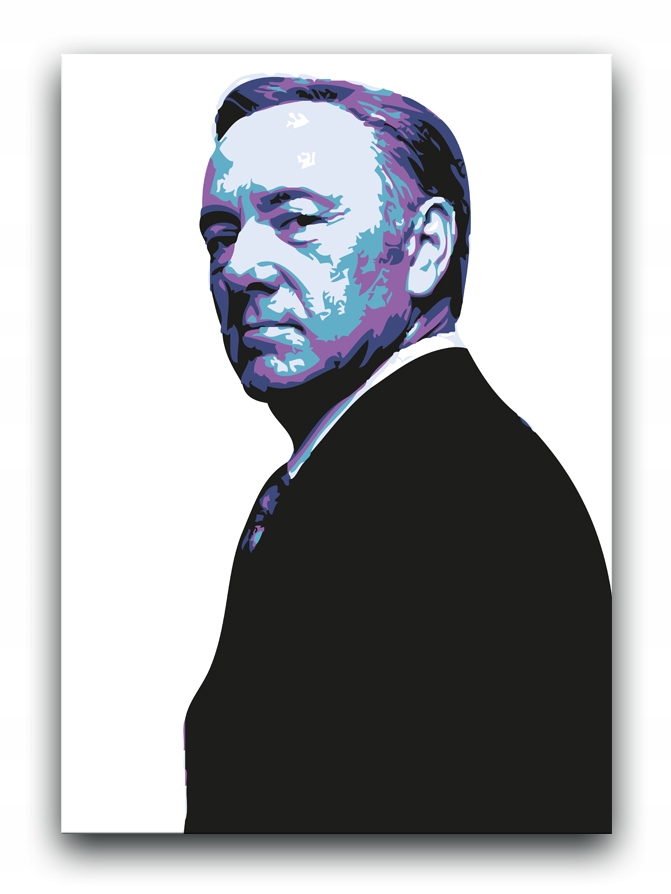 House of Cards - OBRAZ 80x60 canvas