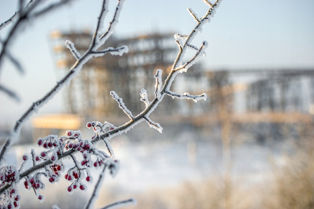 Voucher na całodzienną jazdę na stoku ośrodka Kurza Góra dla jednej osoby.