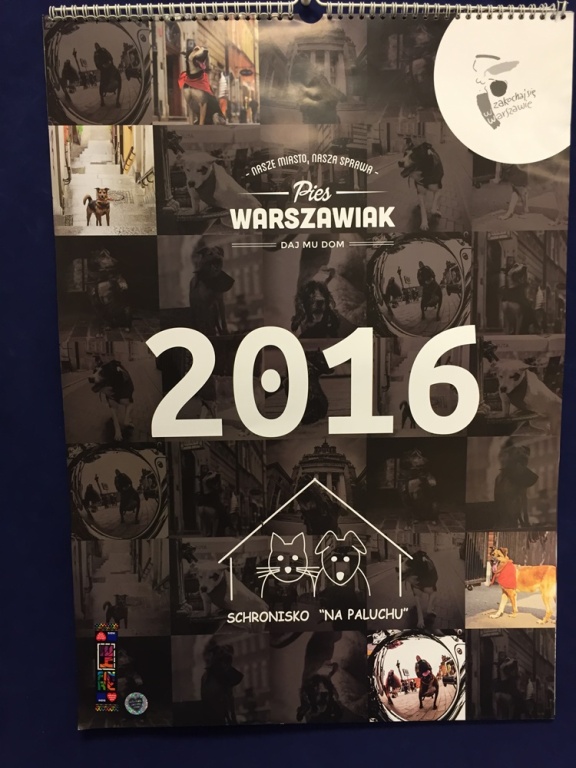Pies Warszawiak Kalendarz 2016