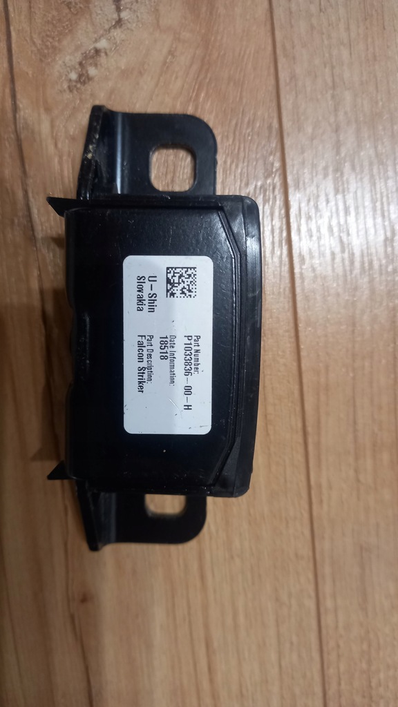 Tesla P1033836-00-H zaczep RYGIEL DRZWI