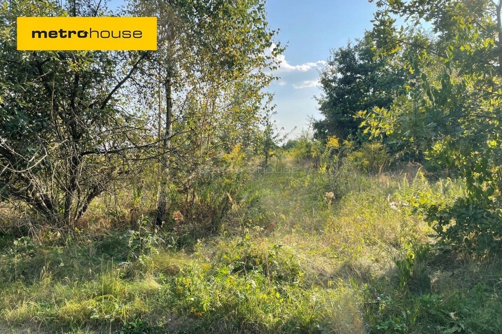 Działka, Dębska Wola, 7252 m²