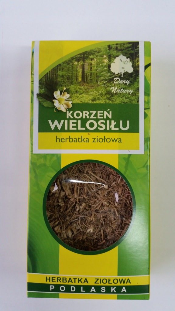 korzeń wielosiłu wielosił