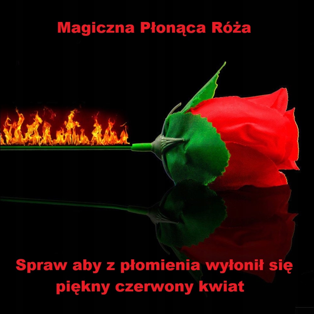 Magiczna Ognista Róża- Magia, trik, iluzja
