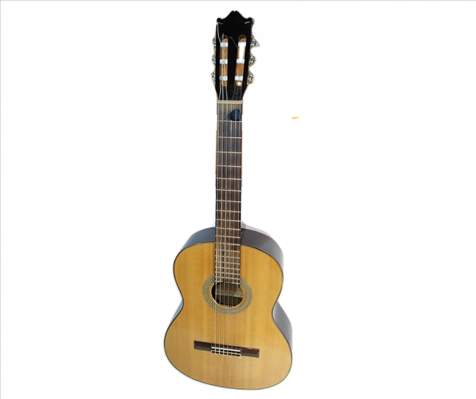 Gitara SALVADOR IBANEZ G100-NT-2Y-02