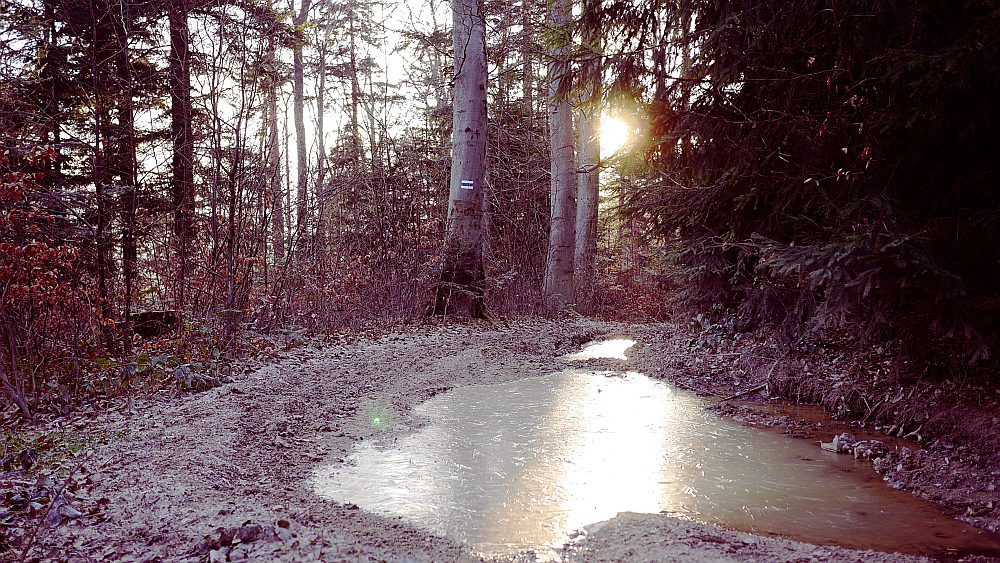 BIEG GÓRSKI Kornatka Cross Run 15km