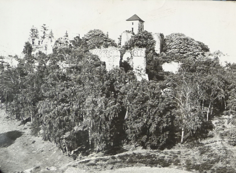 RUDNO Ruiny zamku Tenczyn (XIV-XVII w.)