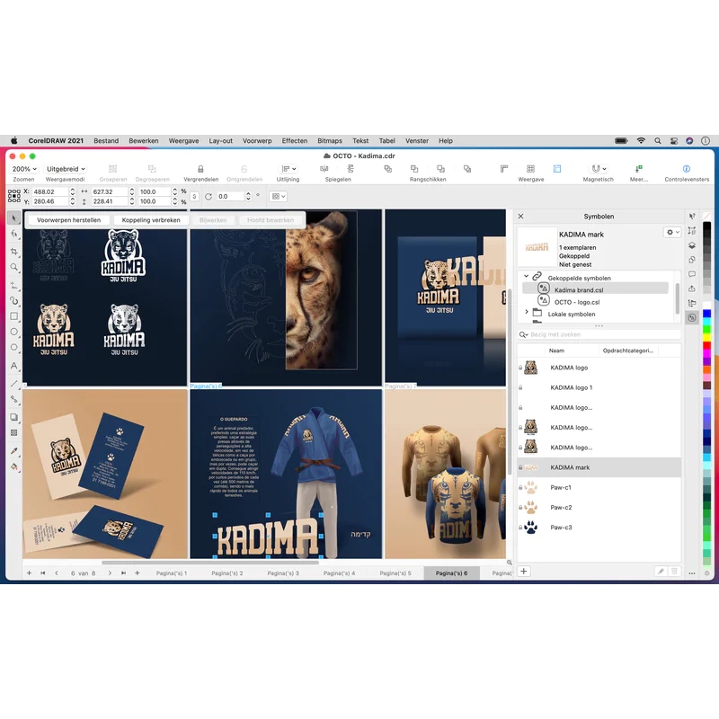 CorelDRAW Graphics Suite 2021 CZ/PL BOX