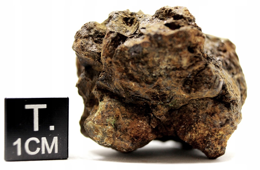 Meteoryt Sericho, żelazno-kamienny, PALLASYT