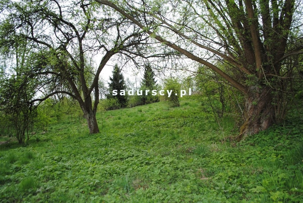 Działka, Chobędza, Gołcza (gm.), 2340 m²