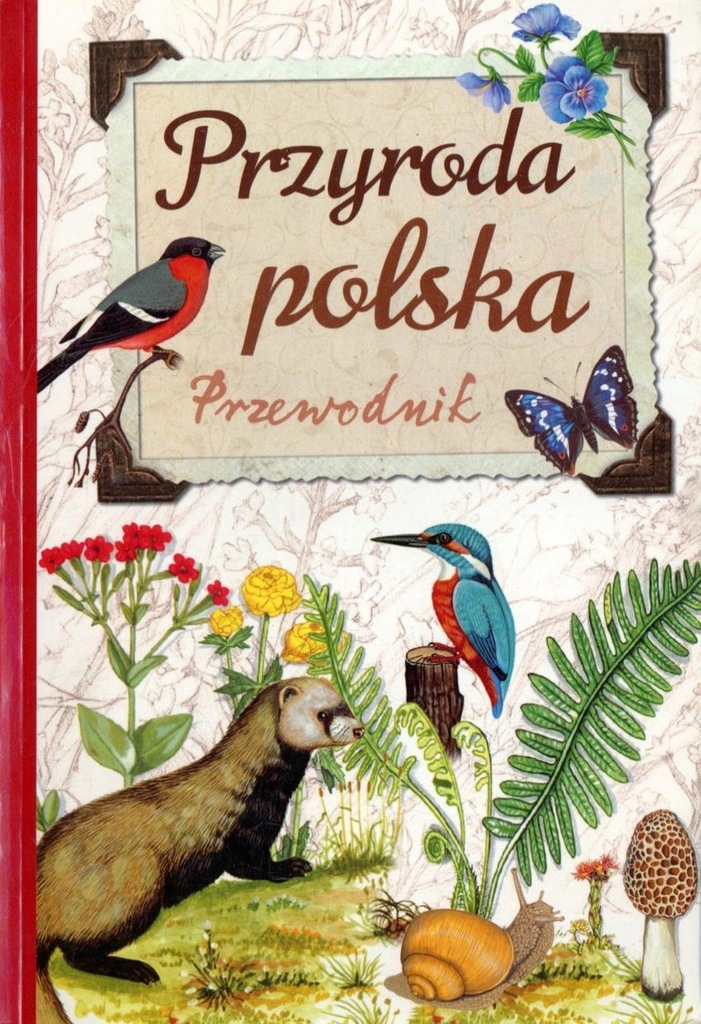 Przyroda polska Przewodnik