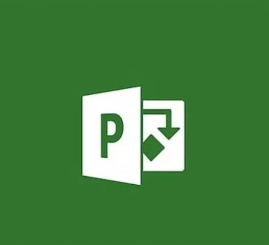 Microsoft Project Professional 2019 1 stan.; Wiecz