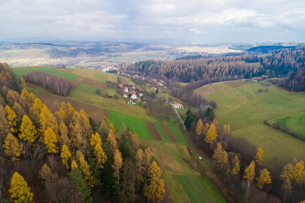 Działka, Gaboń, Stary Sącz (gm.), 9053 m²