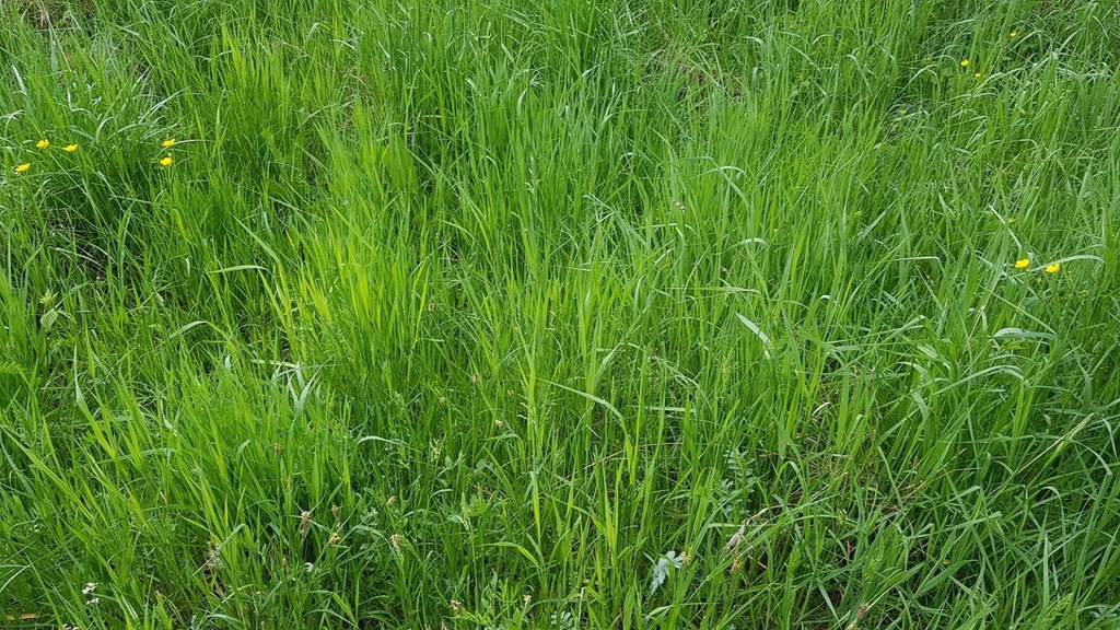 Działka, Katowice, 3814 m²