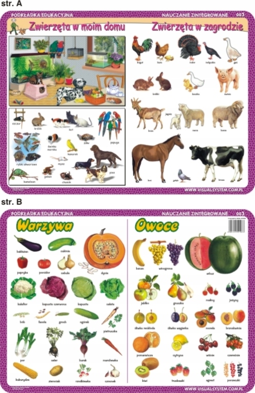 Podkładka edukacyjna Warzywa, owoce, zwierzęta w moim domu i zagrodzie