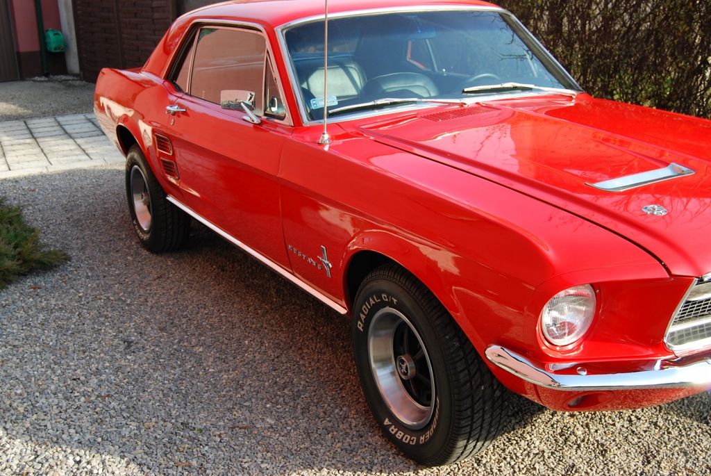 Ford Mustang 1967 Hardtop V8 289 4.7L 200KM 8364686225