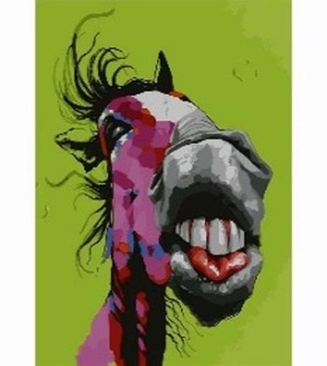 Malowanie po numerach Zwariowany koń