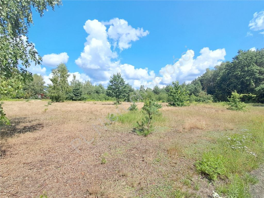 Działka, Leontyna, Jakubów (gm.), 1514 m²