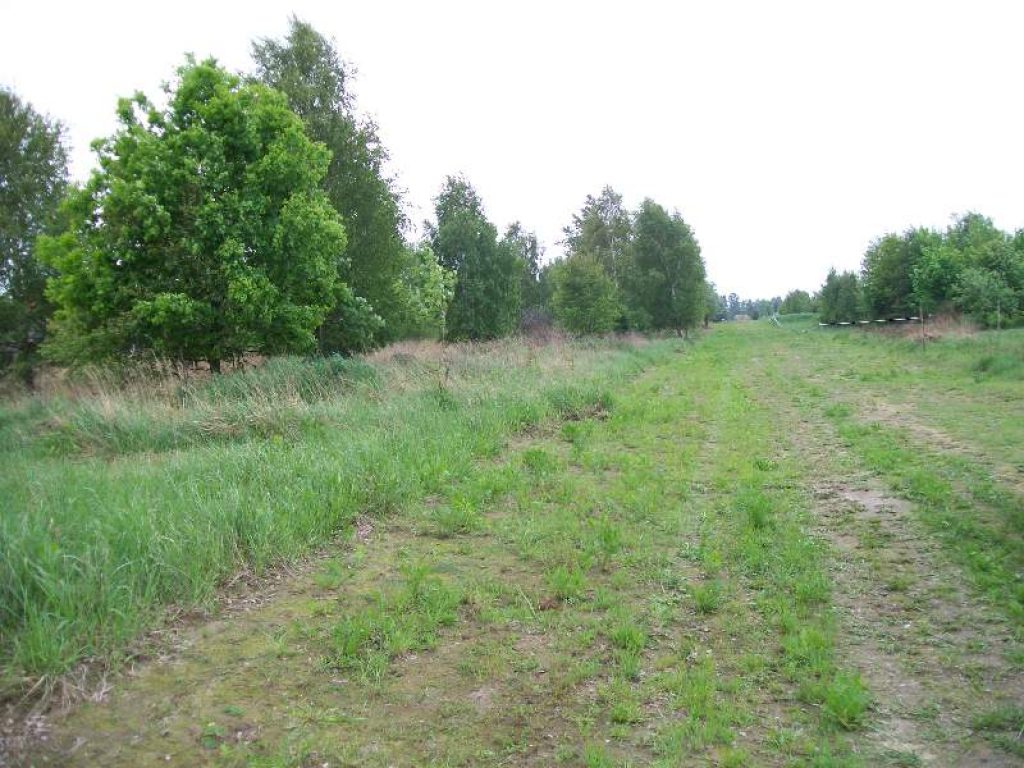 Działka, Częstochowa, Stradom, 1171 m²