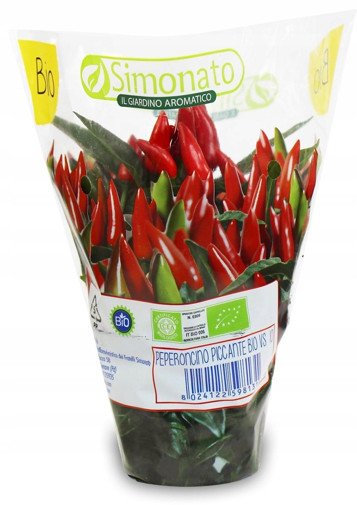 Papryka chilli świeża w doniczce BIO 1 szt