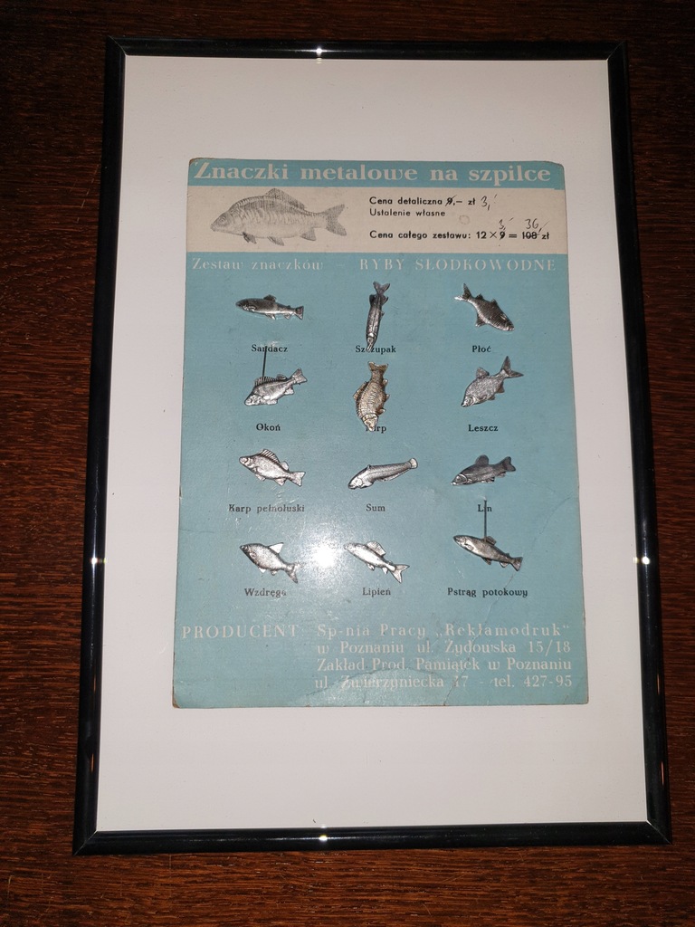 Odznaki wędkarskie Ryby wód polskich PZW