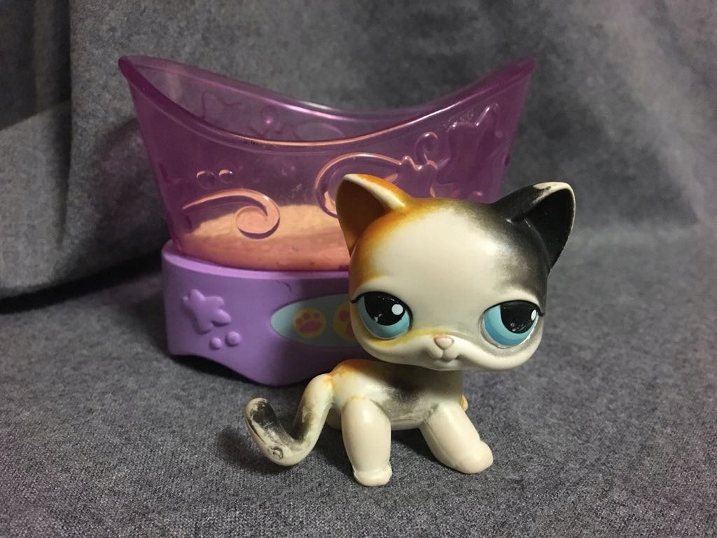 LPS Littlest Pet Shop Shorthair kotek Pop Unikat