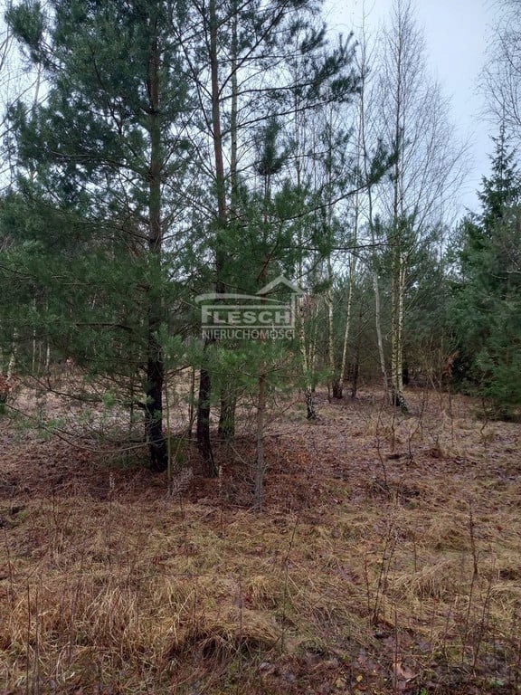 Działka, Adamów-Wieś, 1028 m²