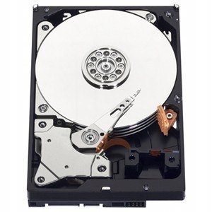 Western Digital Caviar Blue 7200 RPM, 1000 GB, 64