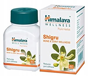 Shigru Himalaya stawy artretyzm 60 tabl