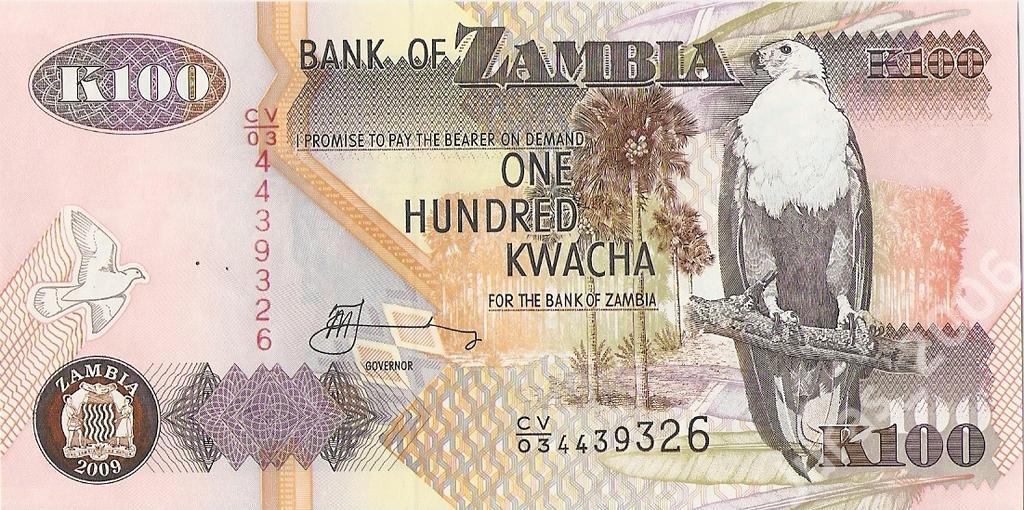 100 Kwacha ZAMBIA 2009 UNC okazja bielik afrykańsk