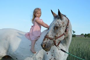 Lekcja jazdy konnej dla dzieci i dorosłych