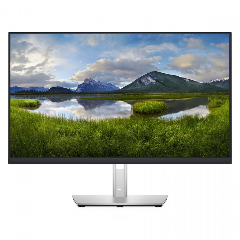 Dell LCD P2422H 23.8 ", IPS, FHD, 1920 x 1080