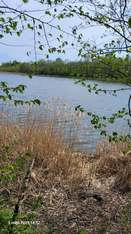 Działka, Zieleniewo, Bierzwnik, Choszczeński, 985 m²